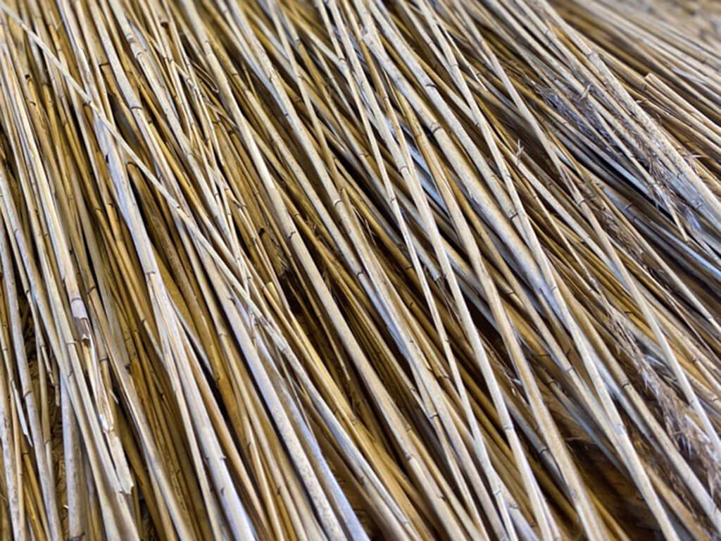 Close up on straw.